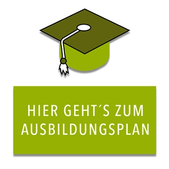 Ausbildungsplan systemischen Berater Wiesloch